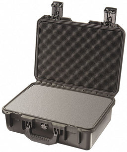 G3173 ProtCase 4 in PdLkHsp/PrPu Blk