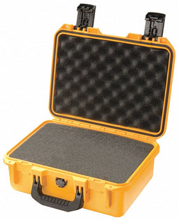 G3171 ProtCase 4 in PdLkHsp/PrPu Ylw