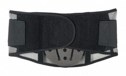D0586 Back Support with Lumbar Pad Black XL
