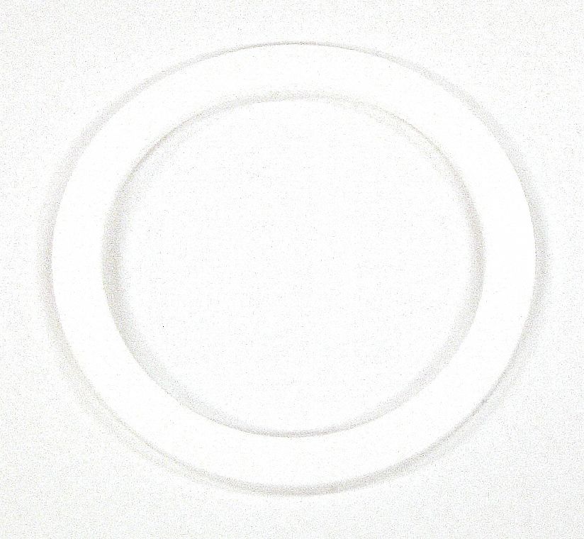 Pressure Cup Gasket For Mfr No 98-1067