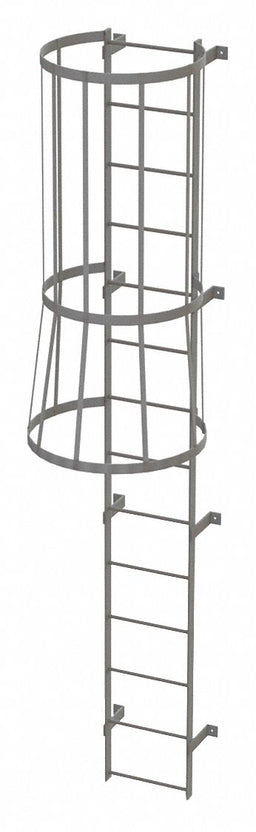 Fixed Ladder w/ Safety Cage Steel 13 ft.