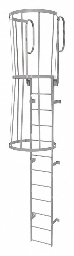 Fixed Ladder w/ Safety Cage Steel 11 ft.