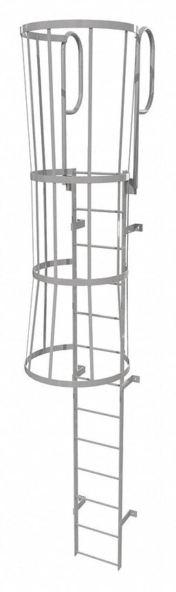 Fixed Ladder w/ Safety Cage Steel 12 ft.