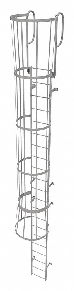 Fixed Ladder w/ Safety Cage Steel 20 ft.
