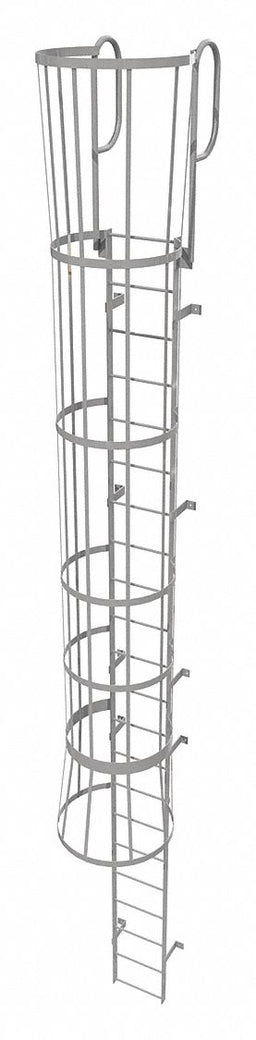Fixed Ladder w/ Safety Cage Steel 21 ft.