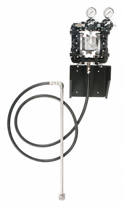 DBL Wall Mount Diaphragm Pump 5 gal.
