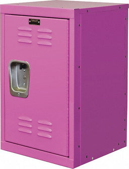 Lckr 1x1Lckr Pink 24 x15 x15 UnAssm