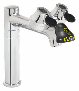 Eyewash/Faucet with Spout