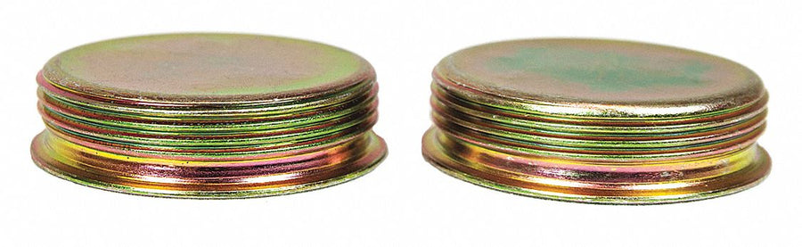 Bung Cap 2 H Electro Zinc Plated PK2