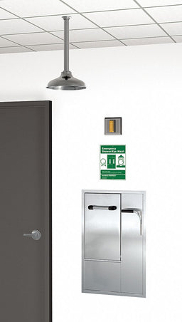 Drench Shower With Face/Eyewash Silver