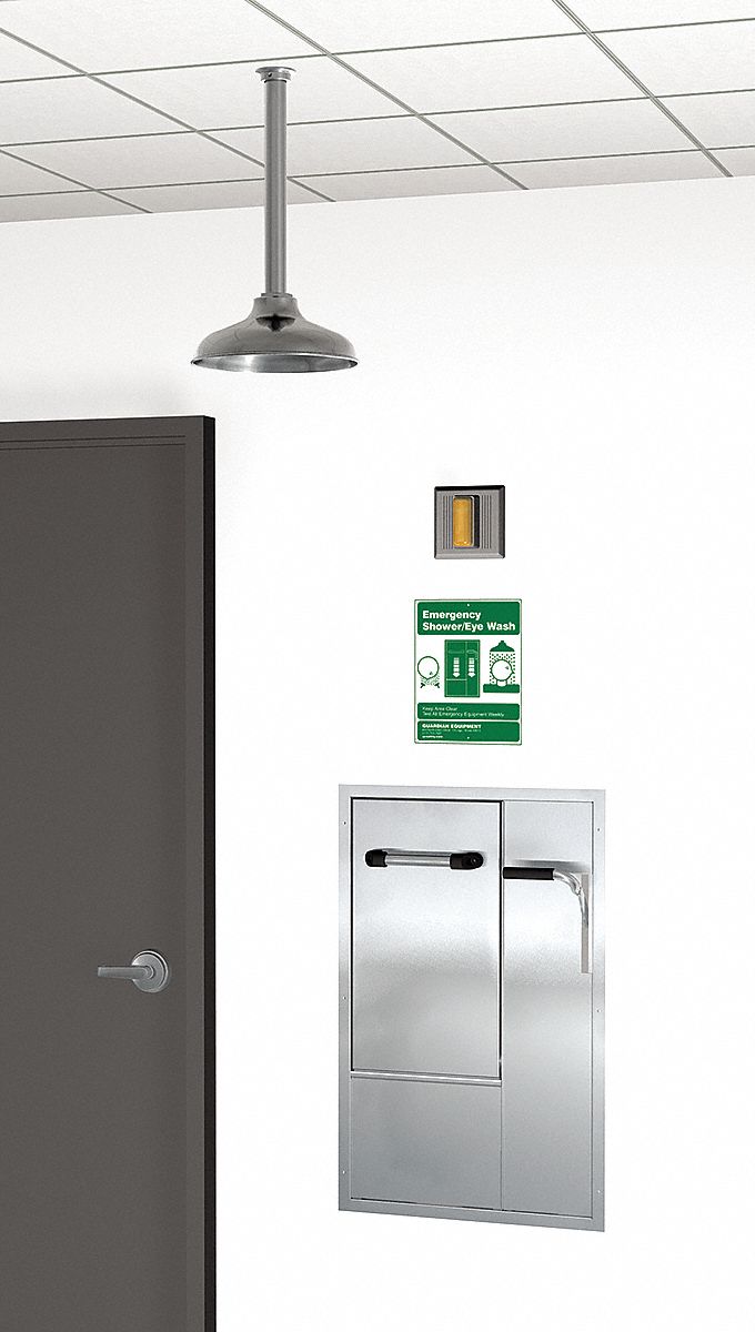 Drench Shower With Face/Eyewash Silver