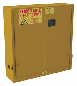 Aerosol Cabinet Wall Mount 24 gal 44 H