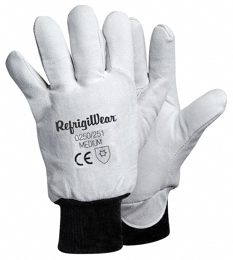 Leather Gloves Gray L PR