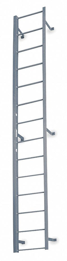 Fixed Ladder 18 ft 3 In H Steel