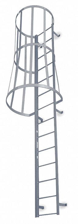 Fixed Ladder w/Safety Cage 12 ft 3in H