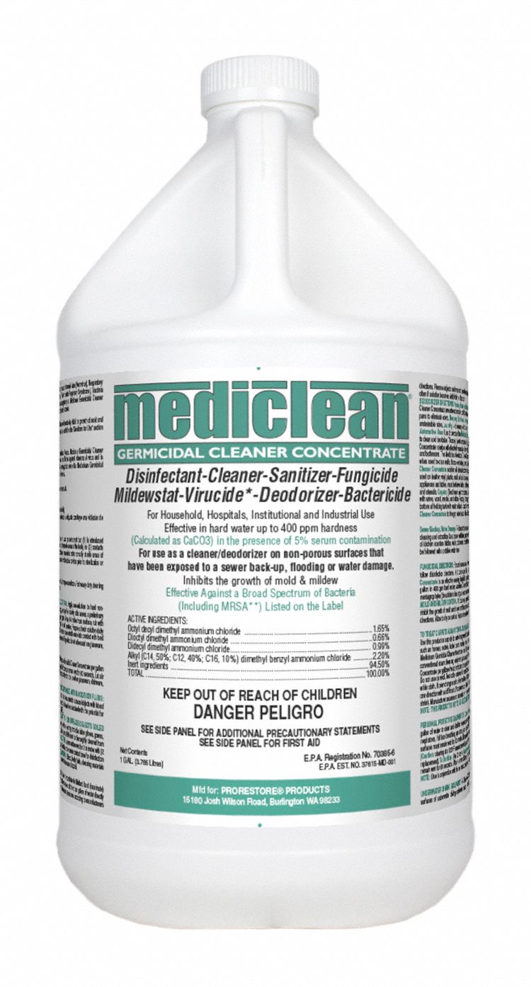 Disinfectant and Sanitizer Mint 1 gal