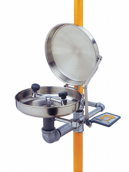 Drench Shower With Eyewash 17 in W