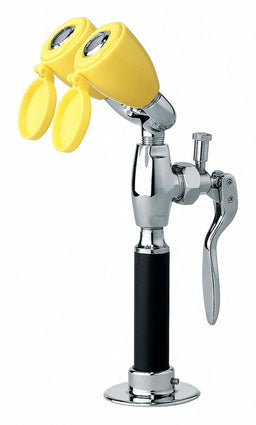 Dual Head Drench Hose Countertop 6 ft.