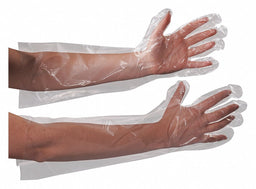 Gloves Poly Elbow Length 18 PK100