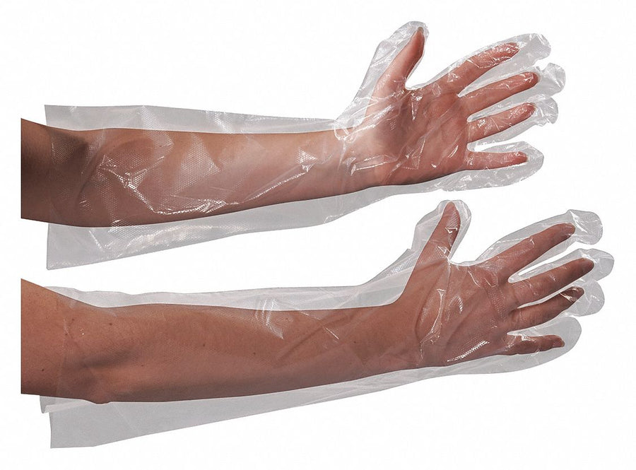 Gloves Poly Elbow Length 18 PK100