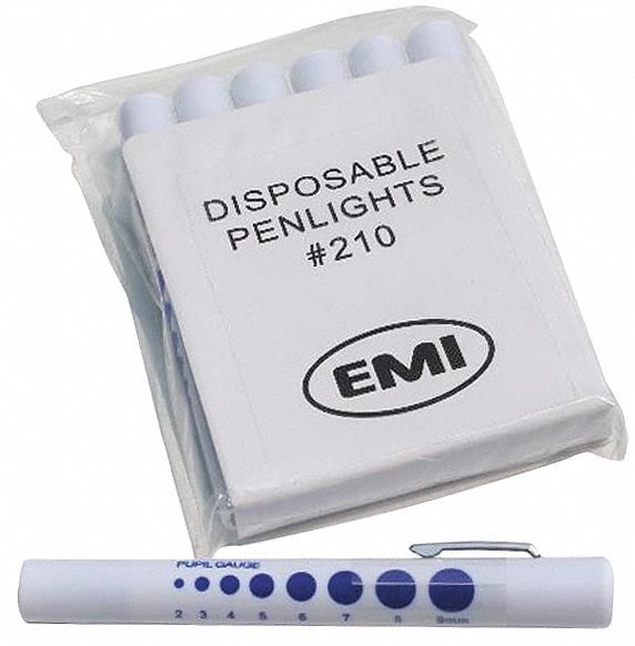 GenPurp Penlight Plastic White 49lm PK6
