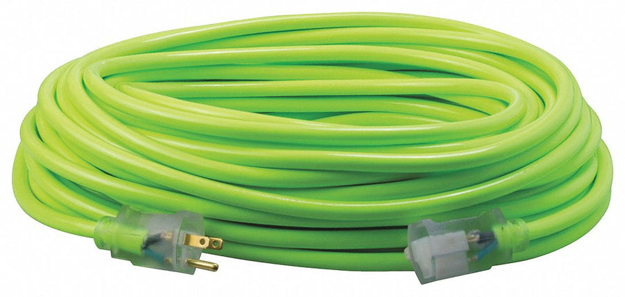 Extension Cord 12 AWG 125VAC 100 ft L