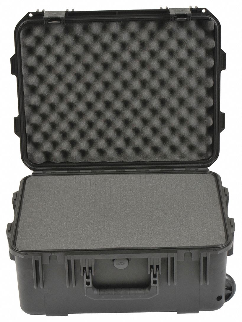 ProtCase 6 in TrgRlsLtchSys Blk