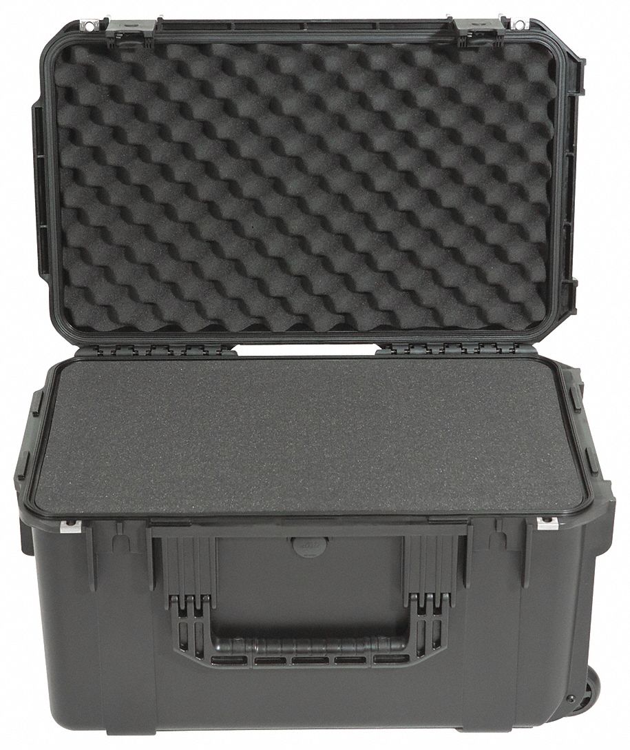 ProtCase 10 in TrgRlsLtchSys Blk