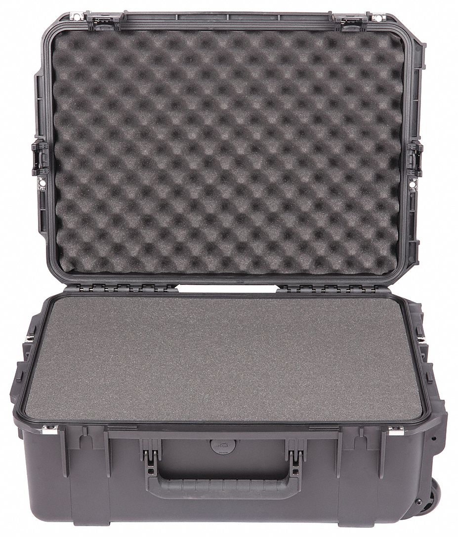 ProtCase 6 in TrgRlsLtchSys Blk