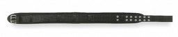 ToolBelt Polyester Black 46inWaist 1PK