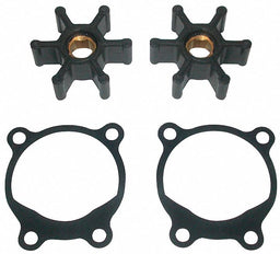 Pump Repair Kit