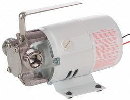 Utility Pump Stainless Steel 115 V