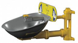 Eyewash Station Wall Mount SS 15-7/8 W