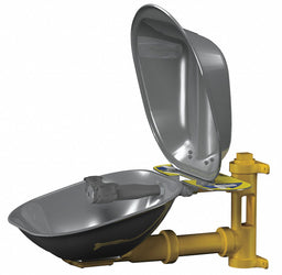 Eyewash Station w/Cover Wall SS 15-1/2 W