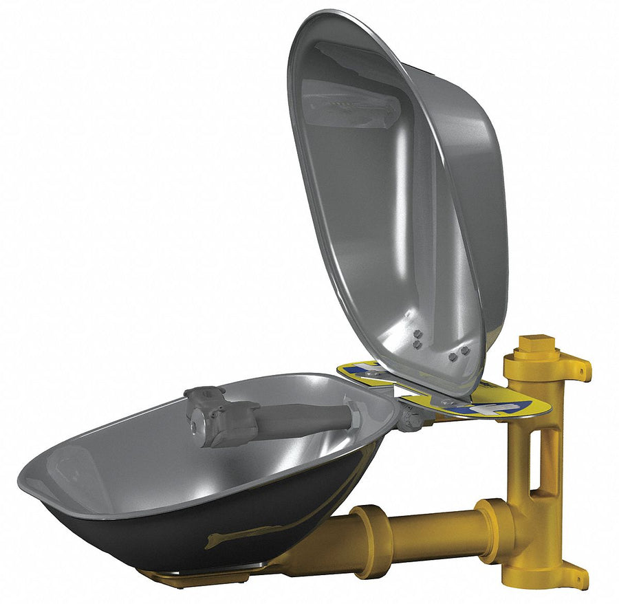 Eyewash Station w/Cover Wall SS 15-1/2 W