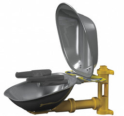 Eyewash Station w/Cover Wall SS 15-1/2 W