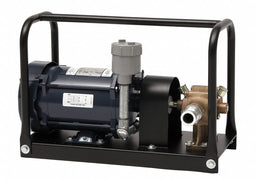 Pump Explosion Proof 1/2HP 115/208-230V