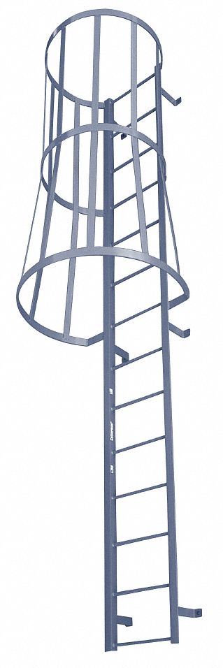 Fixed Ladder w/Safety Cage 10 ft 3 In H