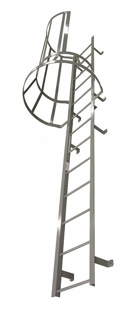 Fixed Ladder w/Safety Cage 24 ft 3 In H
