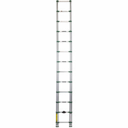 Telescoping Ladder Extended 12 ft 6 H
