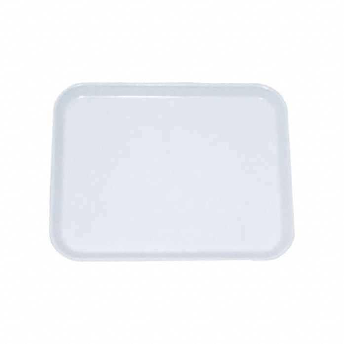 Tray Beige 21 7/8 in 16 in