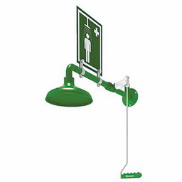 Emergency Shwr Hori Wall Mntng Plate SS